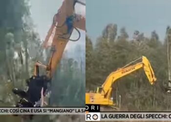 Uta, alberi tagliati per far spazio a pale eoliche e pannelli fotovoltaici: il caso diventa nazionale