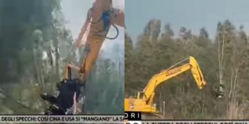 Uta, alberi tagliati per far spazio a pale eoliche e pannelli fotovoltaici: il caso diventa nazionale