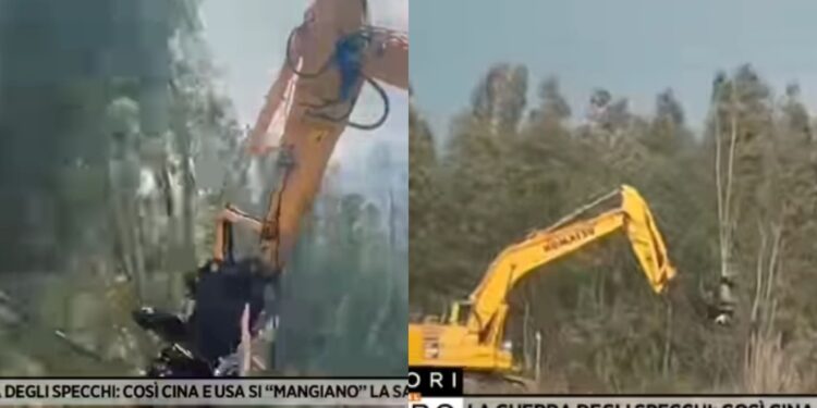 Uta, alberi tagliati per far spazio a pale eoliche e pannelli fotovoltaici: il caso diventa nazionale