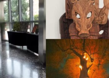 Cagliari, una mostra dei lavori di pittura e scultura realizzati dagli studenti per sensibilizzare su ambiente e incendi