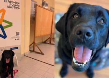 Quartu, a scuola con i quattro zampe per una lezione speciale