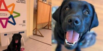 Quartu, a scuola con i quattro zampe per una lezione speciale