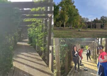Sardara, al parco termale sono i cittadini a prendersi cura del bene di tutti