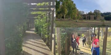 Sardara, al parco termale sono i cittadini a prendersi cura del bene di tutti