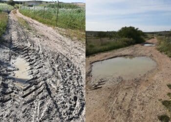 Imu salata per un terreno ereditato nella Piana San Lorenzo, 83enne costretta a pagare cifre altissime