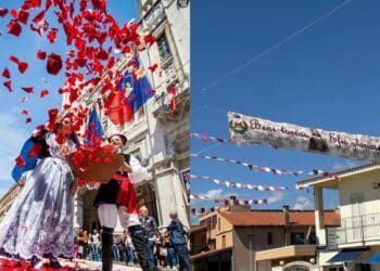 Tanti petali profumati accoglieranno il cammino del Santo: tutto pronto per Efisio