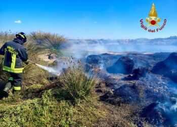 Capoterra, vasto incendio in una vegetazione: intervento dei vigili del fuoco