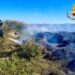Capoterra, vasto incendio in una vegetazione: intervento dei vigili del fuoco