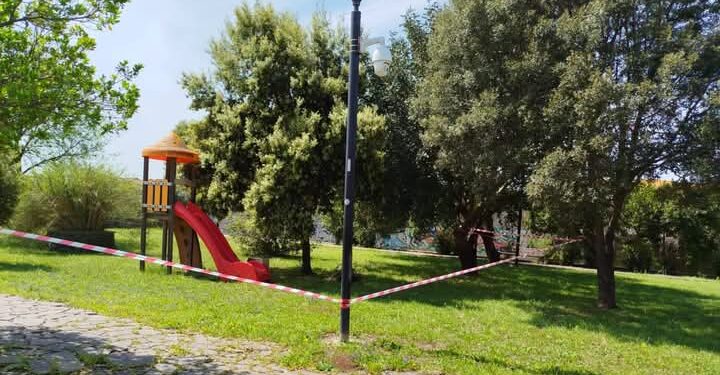 Pabillonis, grosso sciame di api fa scattare i sigilli in piazza Trento: l’arena è stata delimitata con il nastro