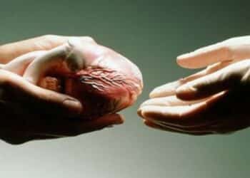 Sinnai, sulla carta d’identità il via libera alla donazione di organi