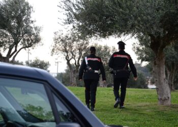 Ricettazione e riciclaggio di veicoli, una denuncia a Decimoputzu