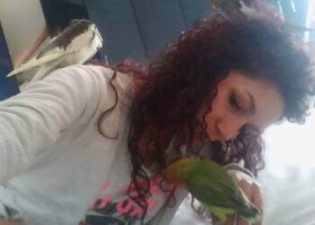 Gonnosfanadiga, rimpasto in giunta e l’amica degli animali viene nominata assessore