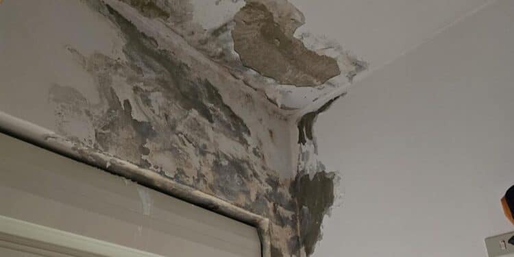 Senorbì, posti di lavoro insalubri: l’appello dei lavoratori all’Areus