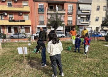 Quartu Sant’Elena, nuovo furto di piante nella scuola di Via Vico ma gli studenti continuano la piantumazione: “Non ci fermiamo davanti all’inciviltà”