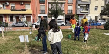 Quartu Sant’Elena, nuovo furto di piante nella scuola di Via Vico ma gli studenti continuano la piantumazione: “Non ci fermiamo davanti all’inciviltà”
