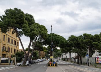Viale Diaz, si fermano di nuovo i lavori della metropolitana: revocato il restringimento a due corsie