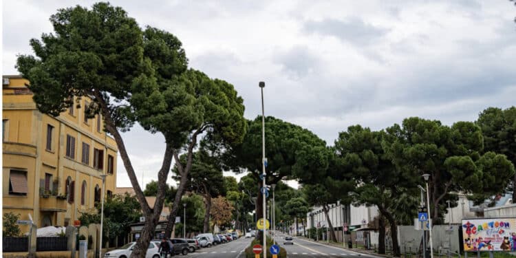 Viale Diaz, si fermano di nuovo i lavori della metropolitana: revocato il restringimento a due corsie