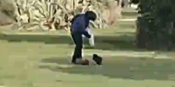 Cagliari, nutrie al parco di Terramaini: “Il problema è chi dà loro da mangiare”