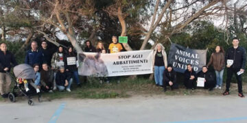 San Giovanni di Sinis, manifestazione contro l’abbattimento dei cinghiali: “Mamme e cuccioli uccisi, impauriti e terrorizzati“