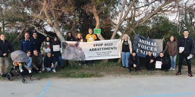 San Giovanni di Sinis, manifestazione contro l’abbattimento dei cinghiali: “Mamme e cuccioli uccisi, impauriti e terrorizzati“