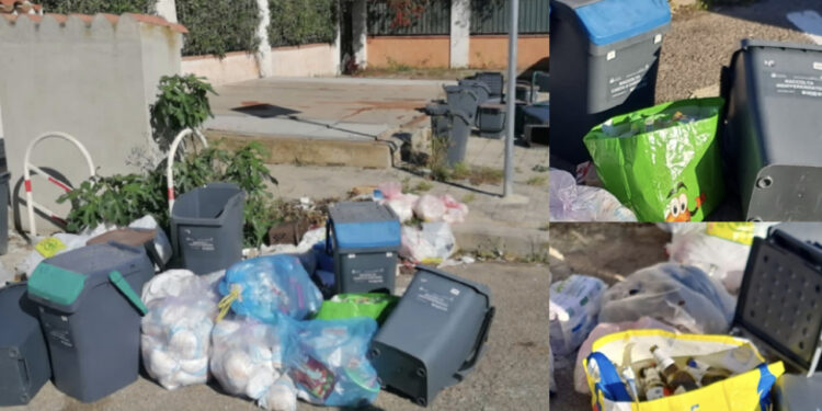 Capoterra, residenti di via Pantelleria esasperati: una “discarica a cielo aperto dove cani, gatti, cornacchie e topi banchettano allegramente“