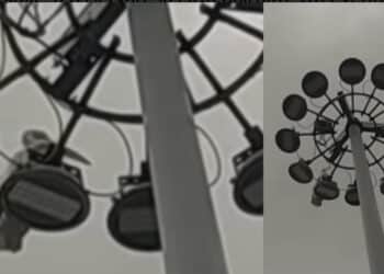 Cagliari, tra fenicotteri e gabbiani spunta anche il pellicano