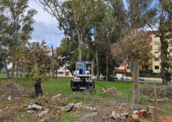 Quartu, nuove piante autoctone nel boschetto di via Belgio