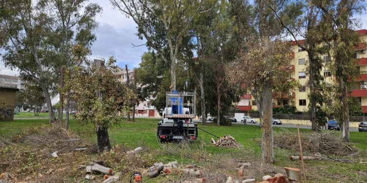 Quartu, nuove piante autoctone nel boschetto di via Belgio