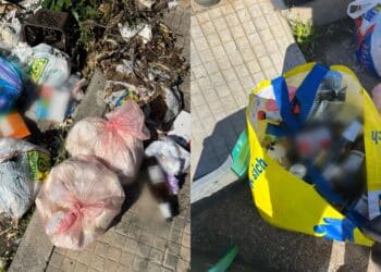 Capoterra, emergenza rifiuti in via Pantelleria: banchettano topi e cornacchie
