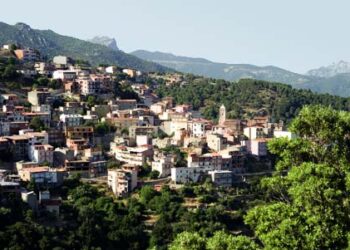 Talana, fallisce il colpo in banca: tronchi e strisce chiodate sulla strada per coprirsi la fuga