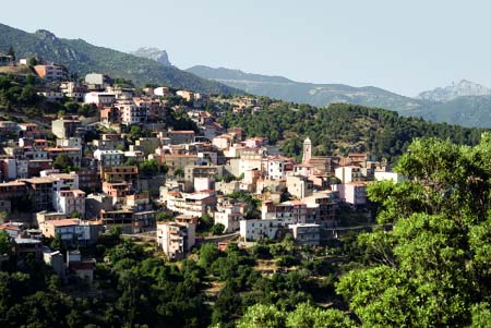 Talana, fallisce il colpo in banca: tronchi e strisce chiodate sulla strada per coprirsi la fuga