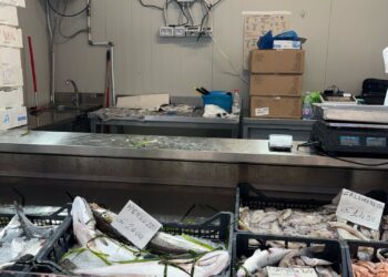 Prezzi alle stelle nel mercato provvisorio di piazza Nazzari, scoppia la polemica nel reparto del pesce: gamberoni anche a 78 euro