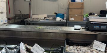 Prezzi alle stelle nel mercato provvisorio di piazza Nazzari, scoppia la polemica nel reparto del pesce: gamberoni anche a 78 euro