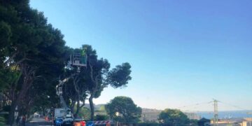 Cagliari, prosegue il dibattimento penale sul taglio degli alberi a Buoncammino