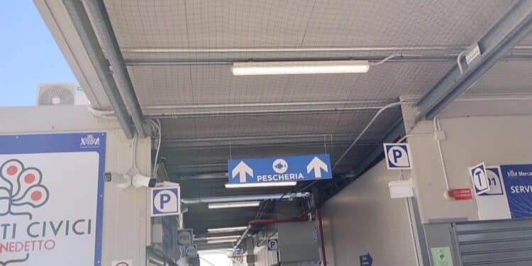 Mercato di piazza Nazzari, la richiesta dei boxisti: “Serve pubblicizzare meglio gli accessi”