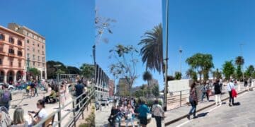 Cagliari, il “bosco verticale” di Boeri sotto il sole cocente: ombra cercasi in via Roma, con i turisti stremati dal caldo