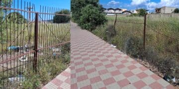 “Viviamo fra zecche e immondizia”: la protesta dei residenti in via Alinari a Barraccamanna