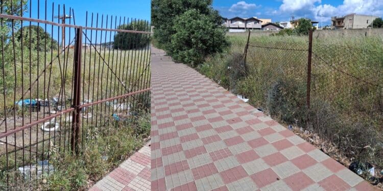 “Viviamo fra zecche e immondizia”: la protesta dei residenti in via Alinari a Barraccamanna