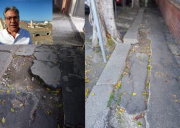 Viale Regina Elena, marciapiede dissestato sotto le mura: Farris chiede la messa in sicurezza