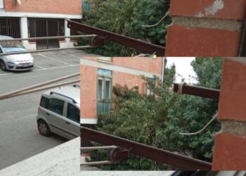 Cagliari, un grosso albero crolla in via Ranieri Sampante: “Segnalazioni ignorate da due anni”