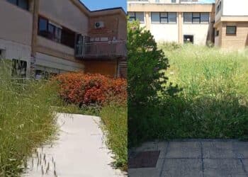 Quartu, la denuncia dei genitori: “Il giardino della scuola di via Vespucci è un disastro”