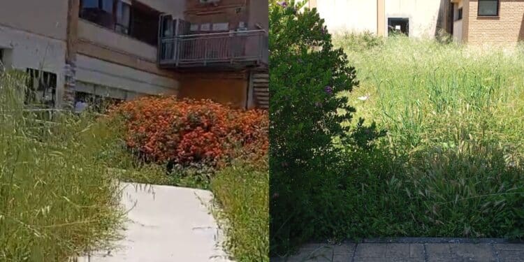 Quartu, la denuncia dei genitori: “Il giardino della scuola di via Vespucci è un disastro”