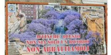 Cagliari, ok dopo vent’anni al nuovo piano per gli impianti pubblicitari