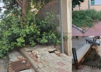 Sinnai, degrado e abbandono del verde pubblico e Solanas invasa dalle spine