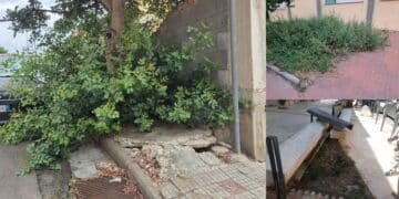 Sinnai, degrado e abbandono del verde pubblico e Solanas invasa dalle spine