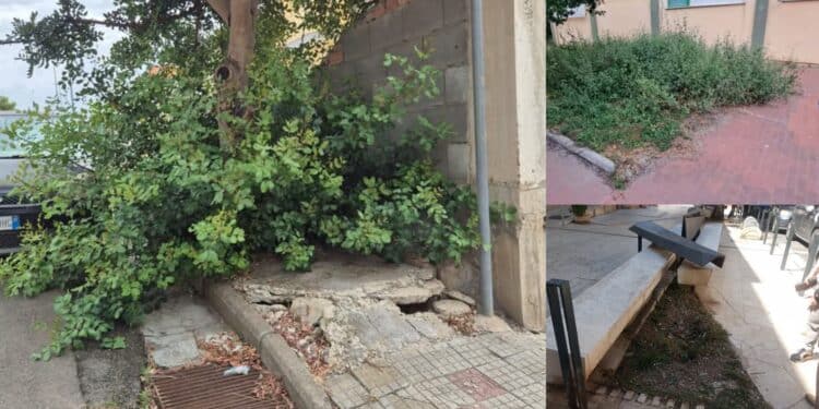 Sinnai, degrado e abbandono del verde pubblico e Solanas invasa dalle spine