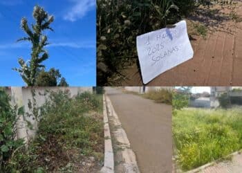 Solanas, spine ed erbacce invadono aiuole e marciapiedi