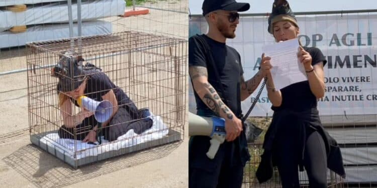 Cabras, cuccioli di 2 settimane abbattuti per contrastare la popolazione dei cinghiali