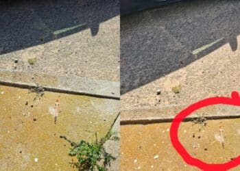 Pirri, siringhe usate e gettate a terra davanti alle scuole