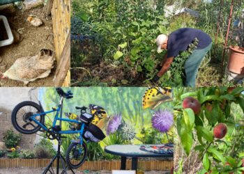 Quartucciu, una rassegna letteraria tra il verde dell’oasi l’Orto Giardino Mariposa de Cardu